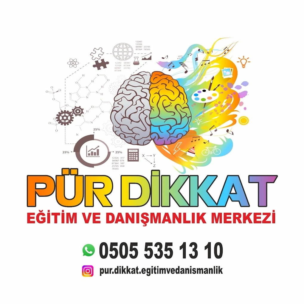 Pür Dikkat Eğitim ve Danışmanlık Merkezi logosu